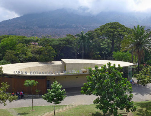 Jardín Botánico Joaquín Antonio Uribe