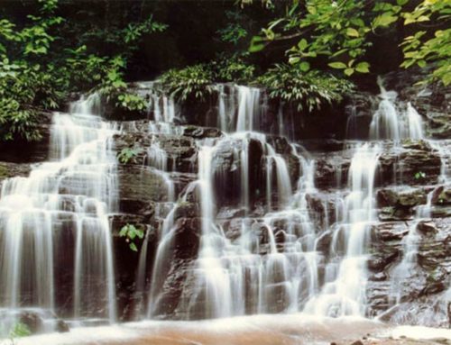 Parque Nacional Natural Los Katios