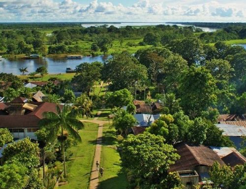 Puerto Nariño, Amazonas