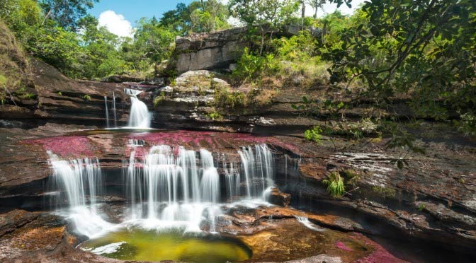 Cascadas caño cristales