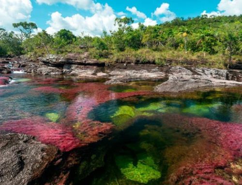 Caño Cristales Meta
