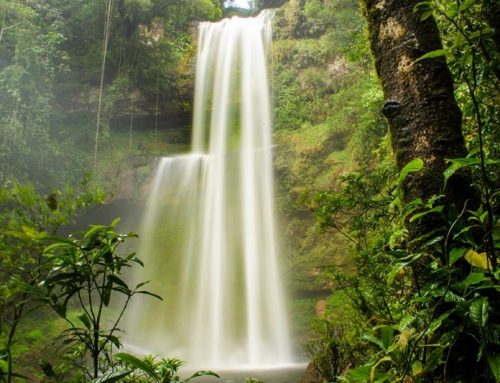 Cascada Hornoyaco Mocoa