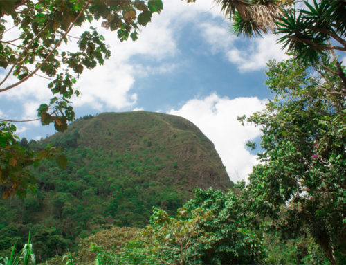 Cerro Butulú La Vega