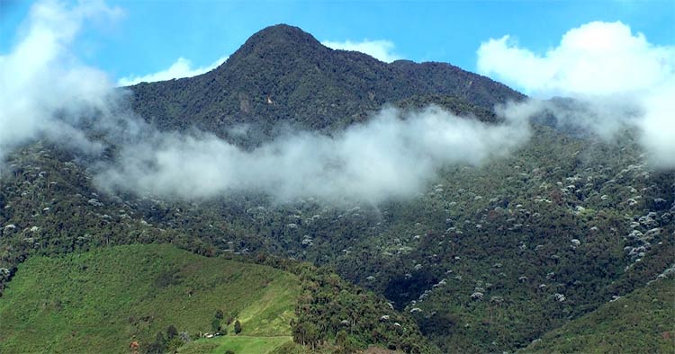 Cerro Tatamá