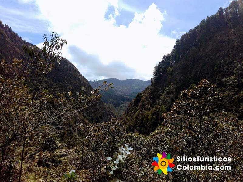 Cerro de Monserrate y Guadalupe desde el sendero San Francisco Vicachá
