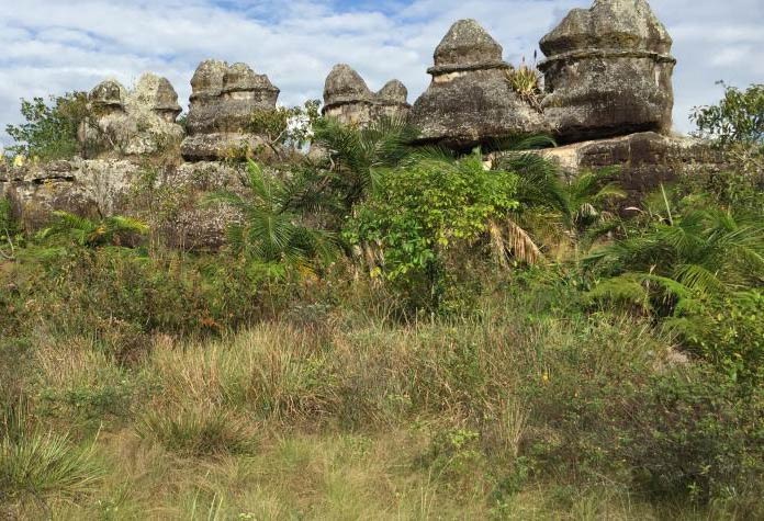 Ciudad en Piedra La Macarena