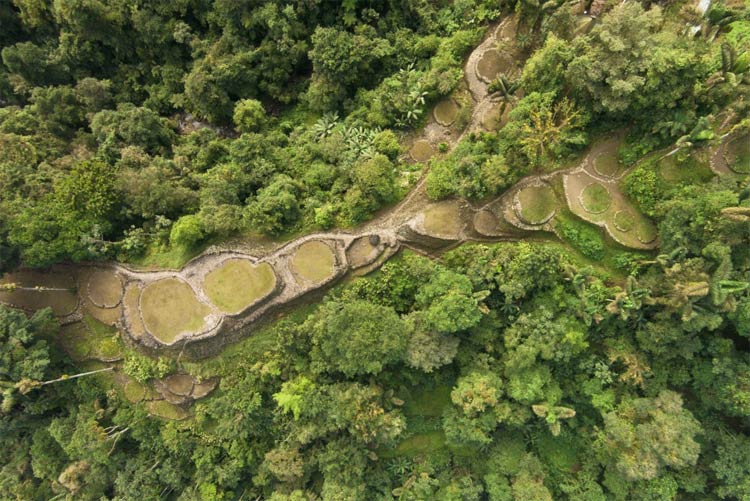 Ciudad perdida Magdalena