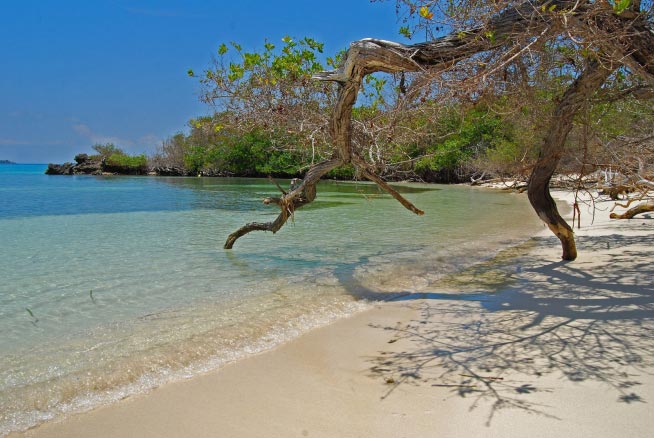Corales del Rosario Cartagena