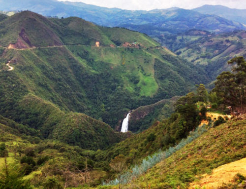 Ecoparque Los Saltos