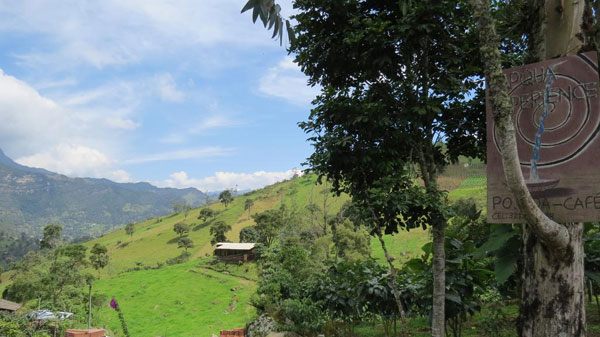 Hotel Fapqua Experience