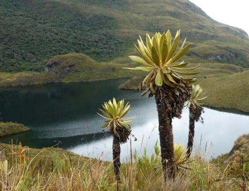 Parque Nacional Natural Las Hermosas