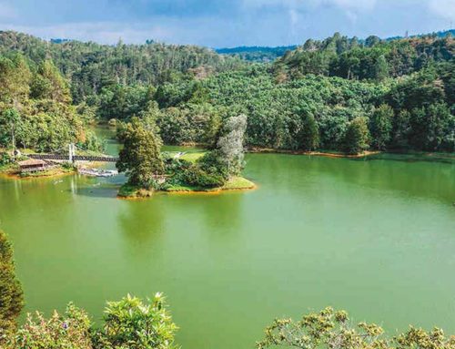 Parque Arví Medellín