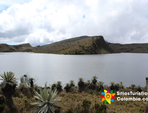 Páramo de Sumapaz
