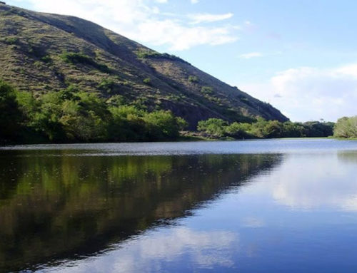 Laguna de Sonso Buga