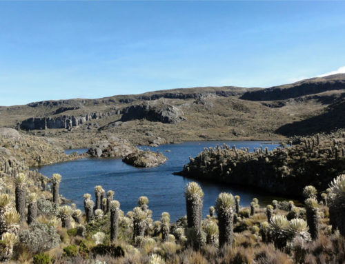 Laguna del Otún Risaralda