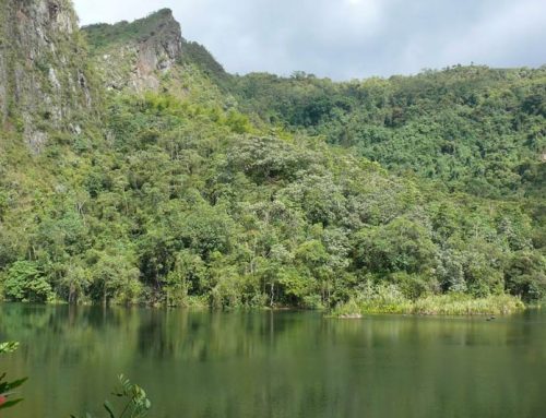 Laguna El Tabacal, La Vega