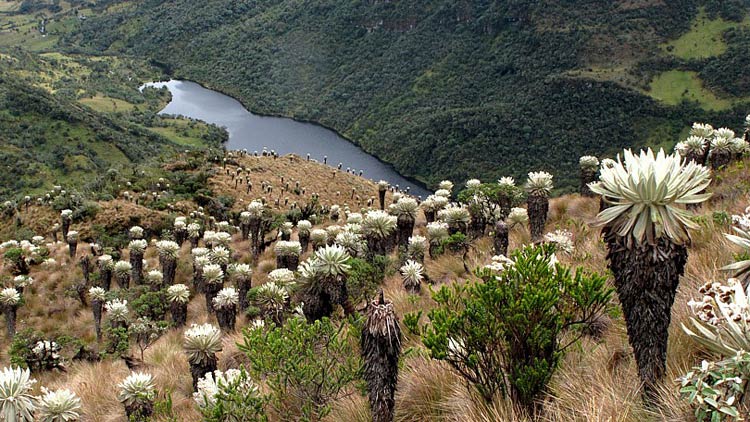 Laguna Páramo oceta