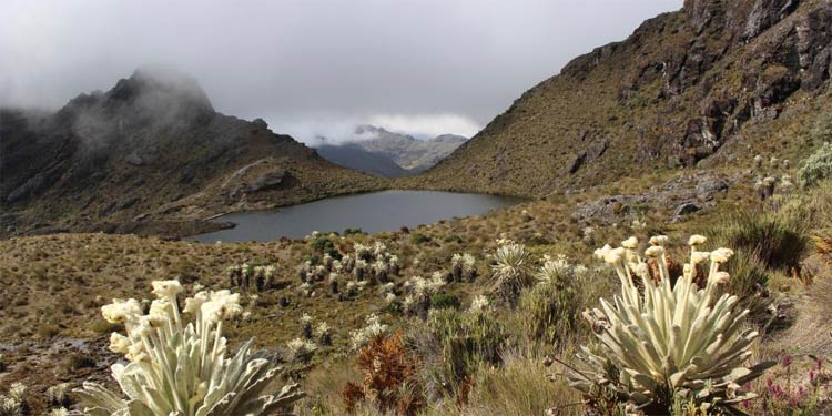Laguna Páramo de Santurbán