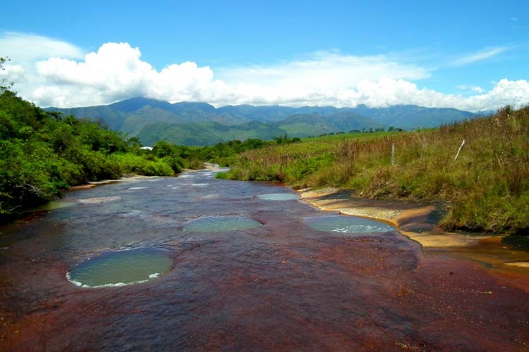 Las Gachas Guadalupe