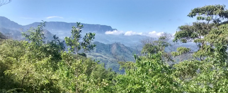 Vista panorámica desde el cerro de Butulú