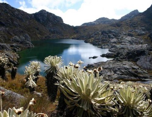 Páramo de Santurban