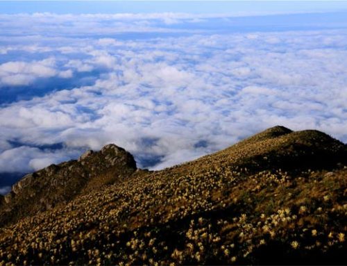 Páramo del Sol, Antioquia
