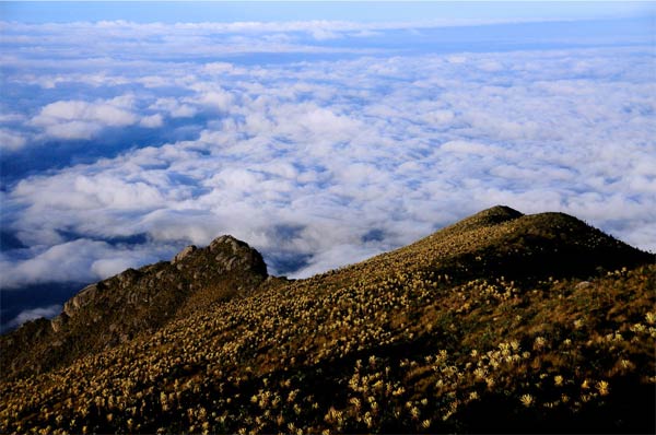 Páramo del Sol, Antioquia