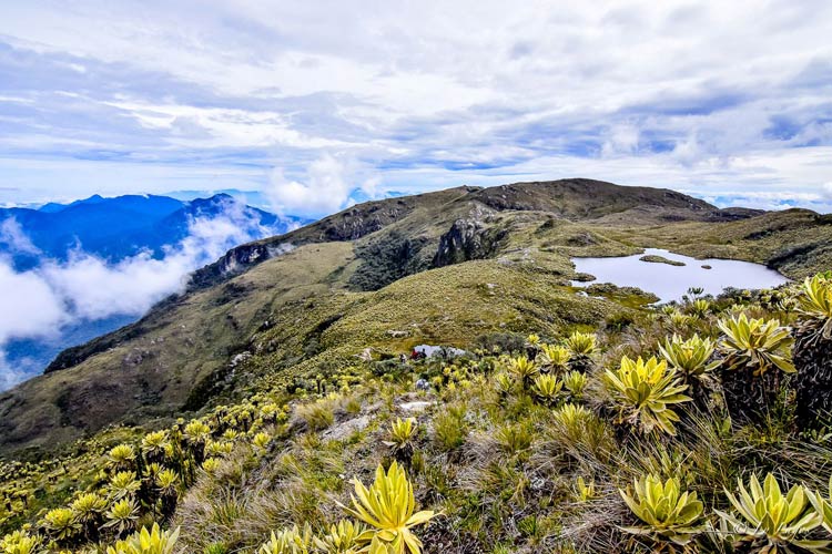 Páramo del Sol en Antioquia