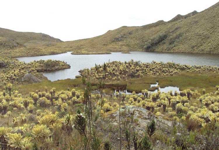 Laguna Páramo del Sol