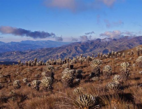 Páramo Ocetá, Boyacá