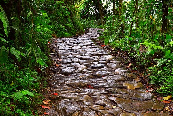 Sendero Parque Chicaque