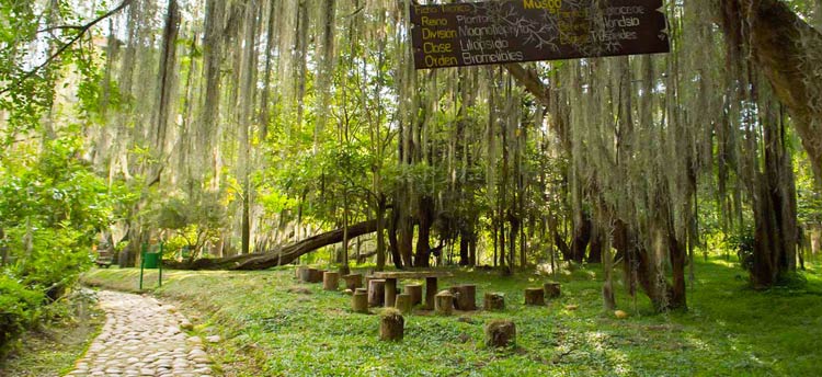 Parque Gallineral San Gil