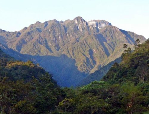 Parque Nacional Natural Tatamá
