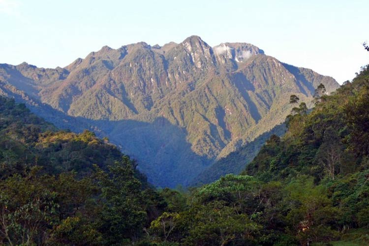 Parque Nacional Natural Tatamá