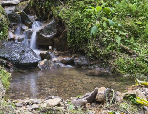 Parque Natural Los Tunos