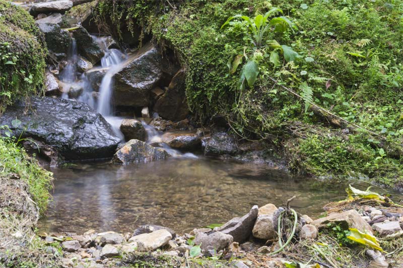 Rio en el parque Natural Los Tunos