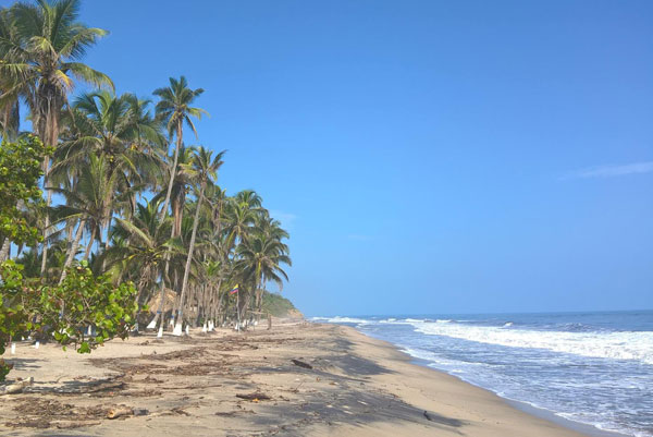 Playas Palomino Guajira