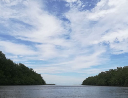 La Barra Buenaventura