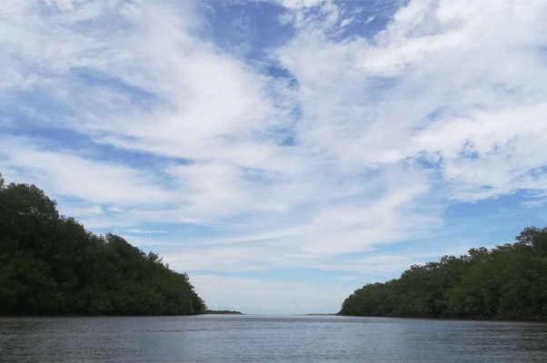 Rio en la Barra, Valle del Cauca