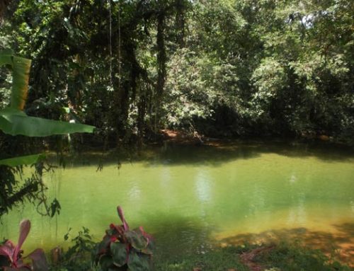 Reserva Natural San Cipriano Cali