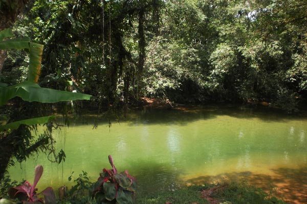 Reserva Natural San Cipriano