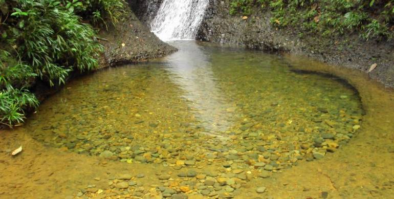 Pozo reserva san cipriano