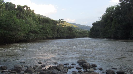 Rio Fonce a la altura del parque Gallineral