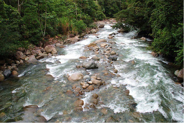 Rio pepino en el mariposario Paway