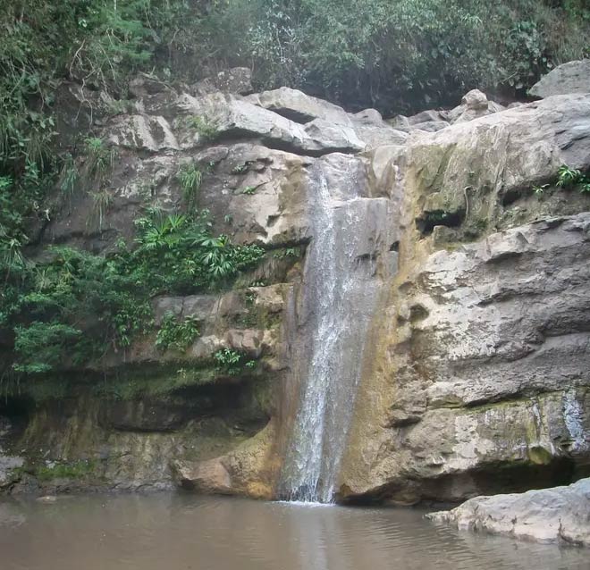 Salto de los micos Cundinamarca