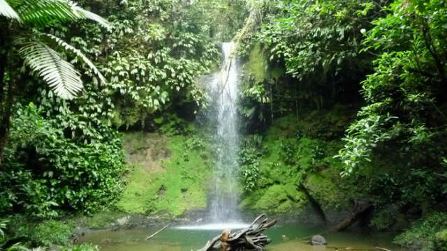 Cascada en la reserva natural San Cipriano