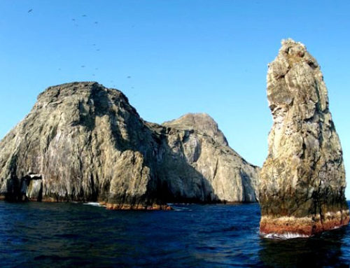 Isla Malpelo