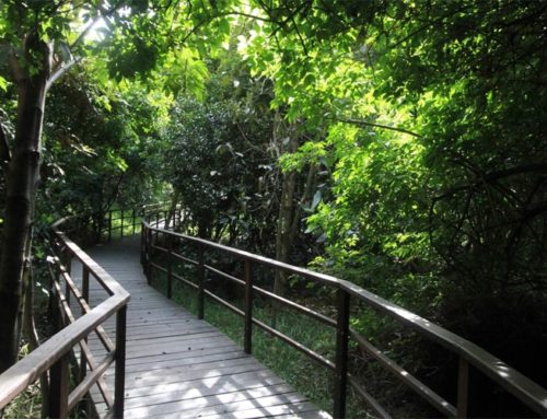 Humedal Córdoba en Bogotá