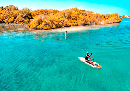Viaje en lancha Isla Barú