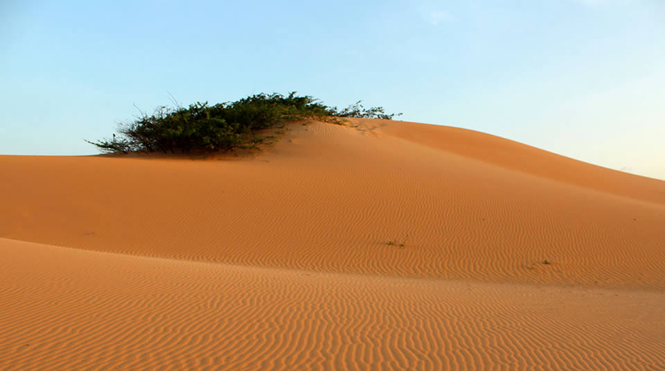Desierto parque Macuira